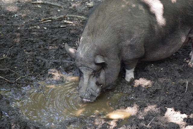 的深遠影響 的深遠影響