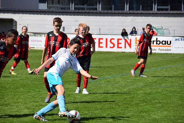 职业生涯充 职业生涯充