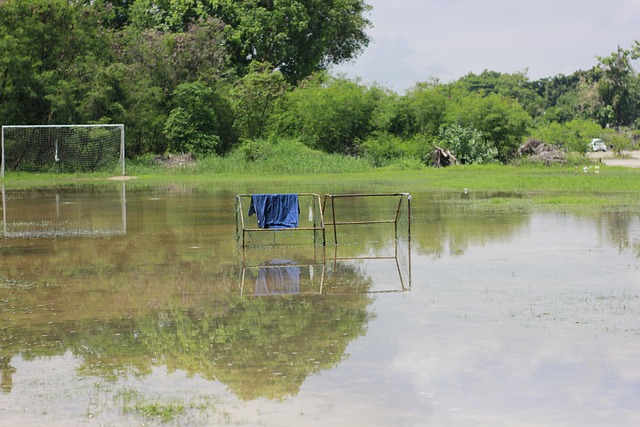 某大洲航空 某大洲航空