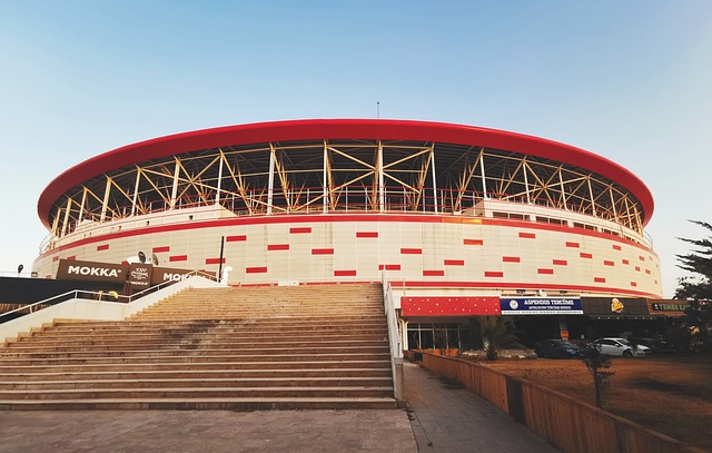 不仅意味着 不仅意味着