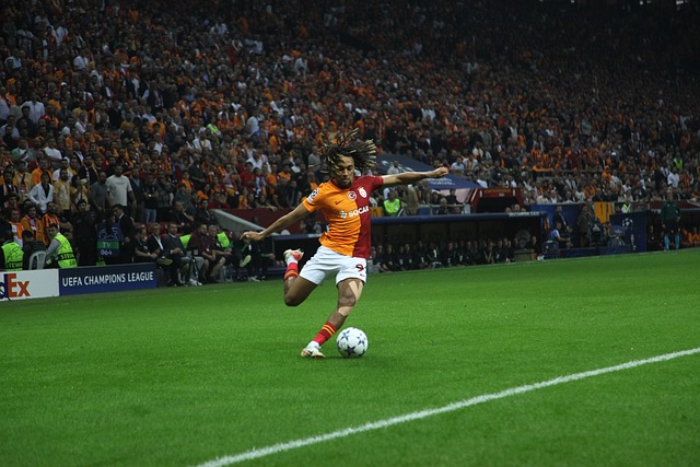 帕尔马历来 帕尔马历来