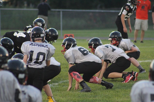 培养与发展 培养与发展